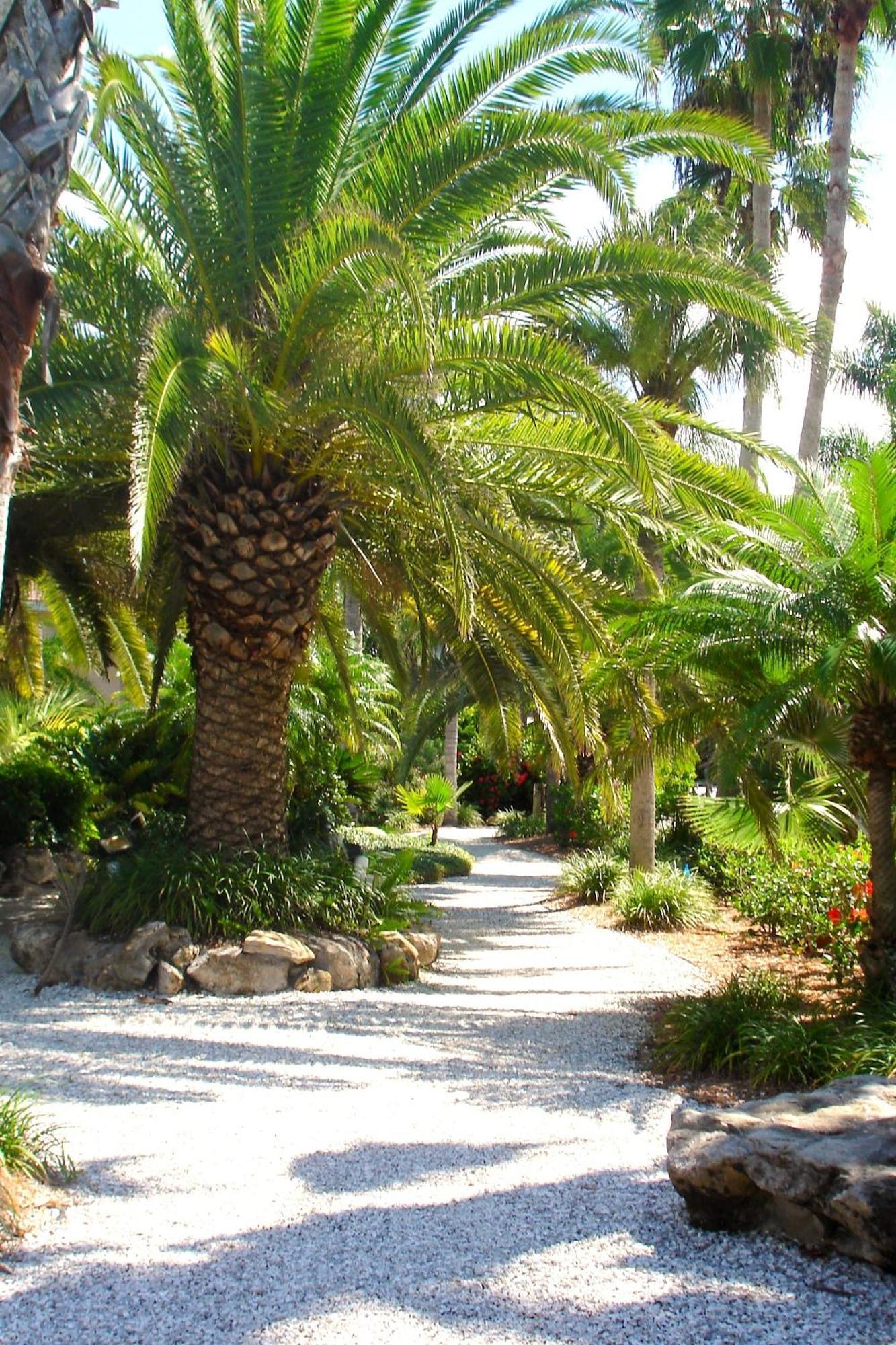 Tropical Beach Resorts - Sarasota Siesta Key Buitenkant foto