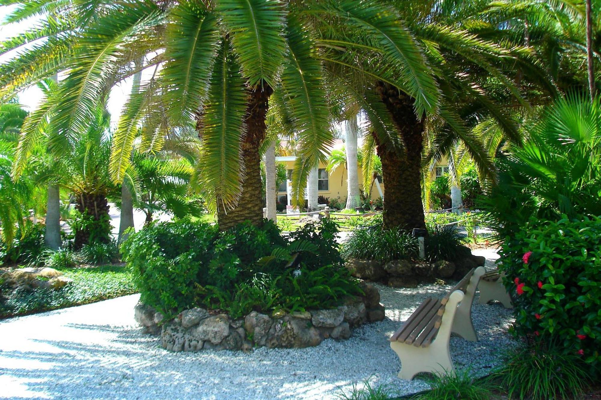 Tropical Beach Resorts - Sarasota Siesta Key Buitenkant foto