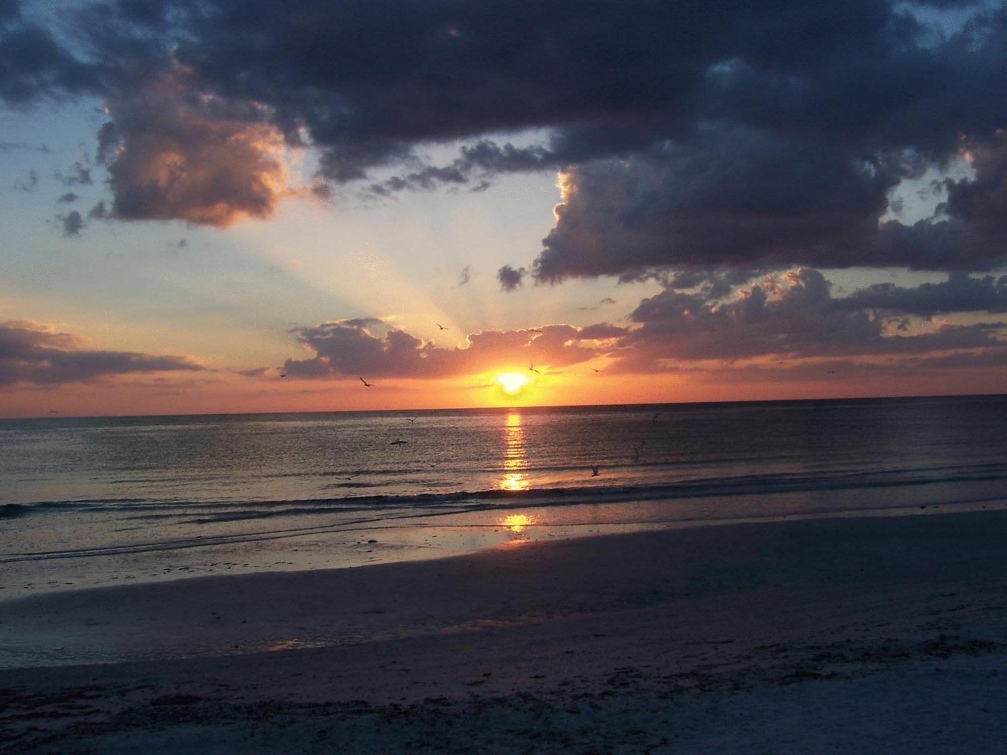 Tropical Beach Resorts - Sarasota Siesta Key Buitenkant foto